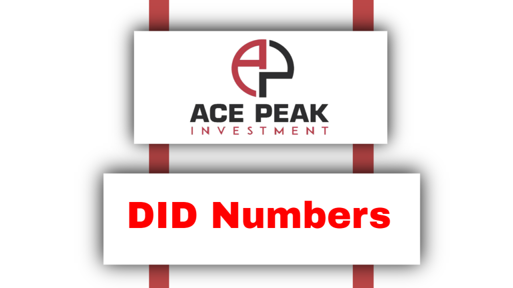 DID Numbers - Ace Peak Investment