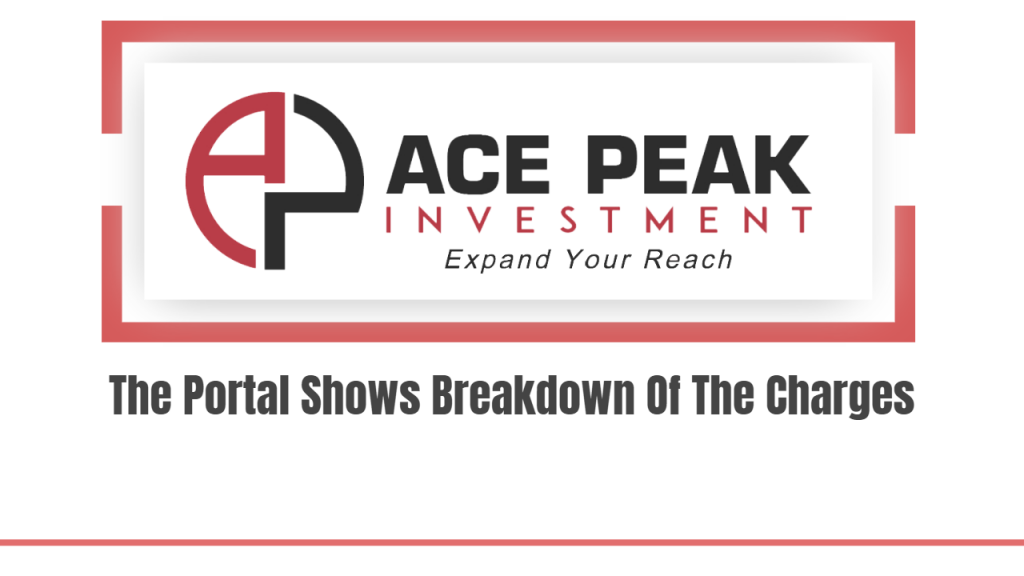 The Portal Shows Breakdown Of The Charges - Ace Peak Investment