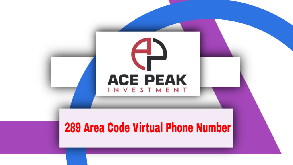 289 Area Code Virtual Phone Number - Ace Peak Investment