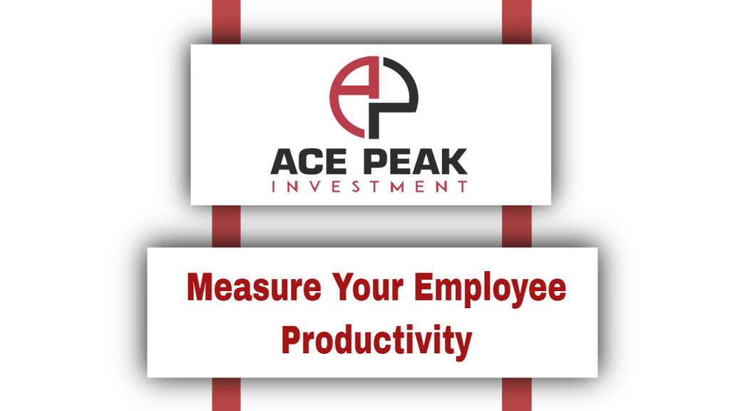 Measure Your Employee Productivity - Ace Peak Investment