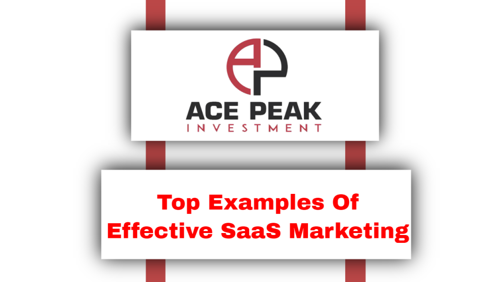 Top Examples Of Effective SaaS Marketing - Ace Peak Investment
